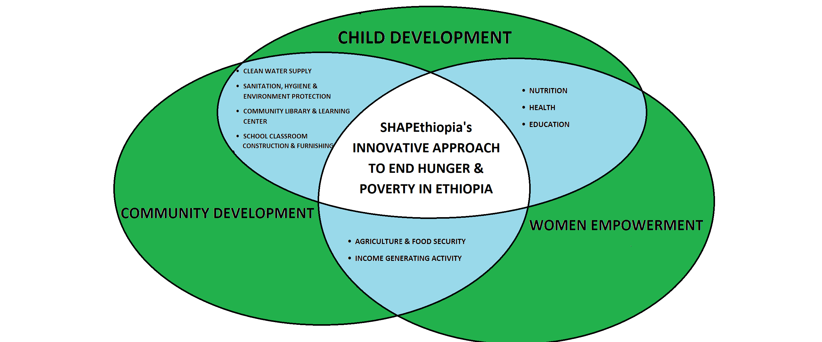 SHAPEthiopia's Innovative Approach