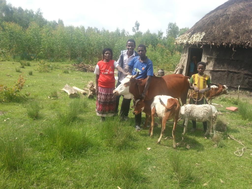 widows' hope poultry and livestock development project